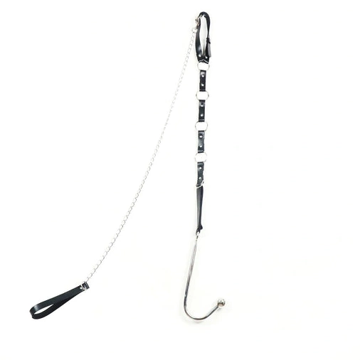 Anal Hooks EverydayUse and Kinky with Anal 5853 Leash Collar Hook 1008